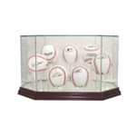 HOCKEY PUCK REAL GLASS DISPLAY CASE FOR 7 PUCKS